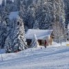 Chalet Saanenwald, Saanenmöser